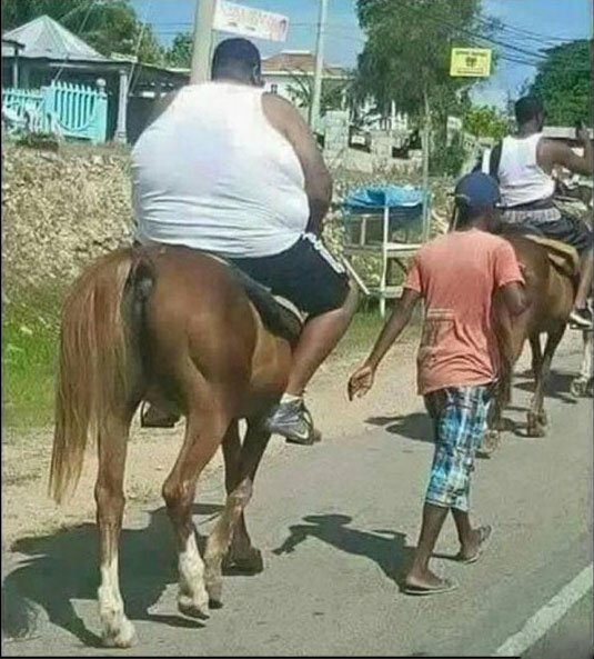                                                                                                                                  взято из Kaifolog.ru