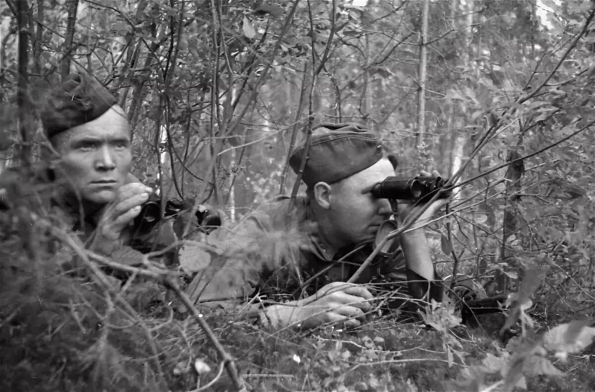 Военная разведка СССР и Германского рейха в годы Великой Отечественной Войны  | Макс Луньков | Дзен