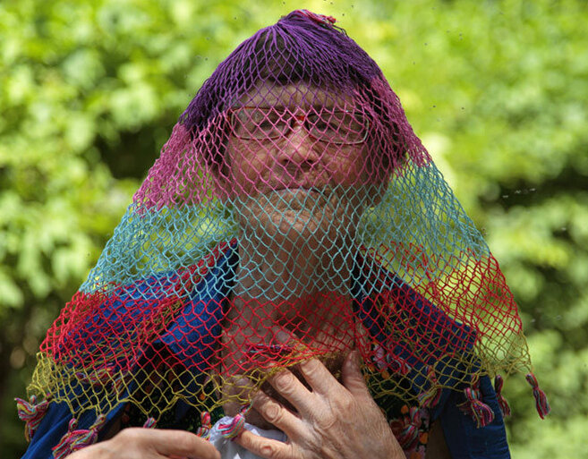 Вот такие сетки. Фото из интернета