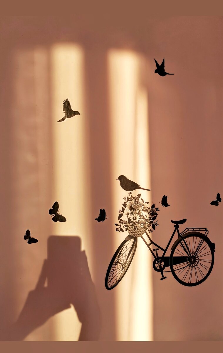 Послерассветные лучи проникали сквозь тонкую вуаль занавесок и падали на стену... 