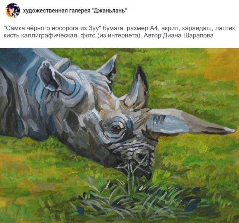 носорог, акрил, бумага