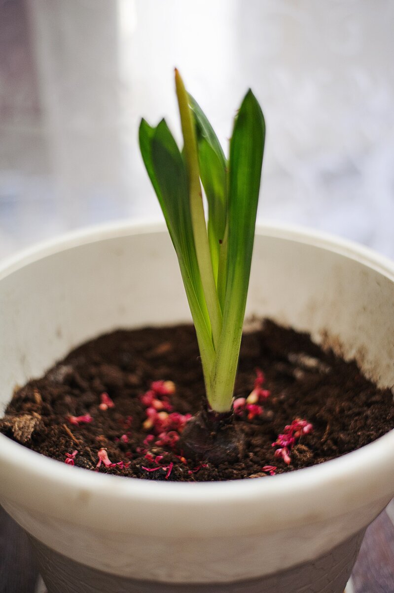 Фото мое: https://vk.com/photo286572092_456260023 