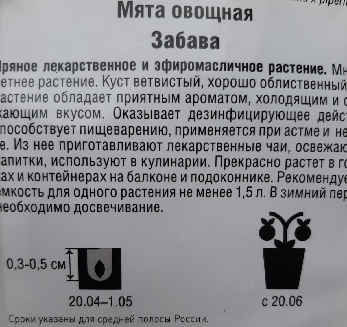 Первые всходы в домашней тепличке. Сажаю микрозелень | Роман М. | Дзен