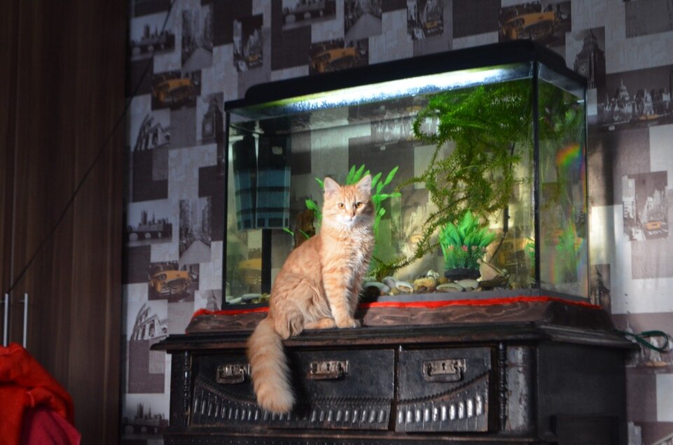 Фото автора.