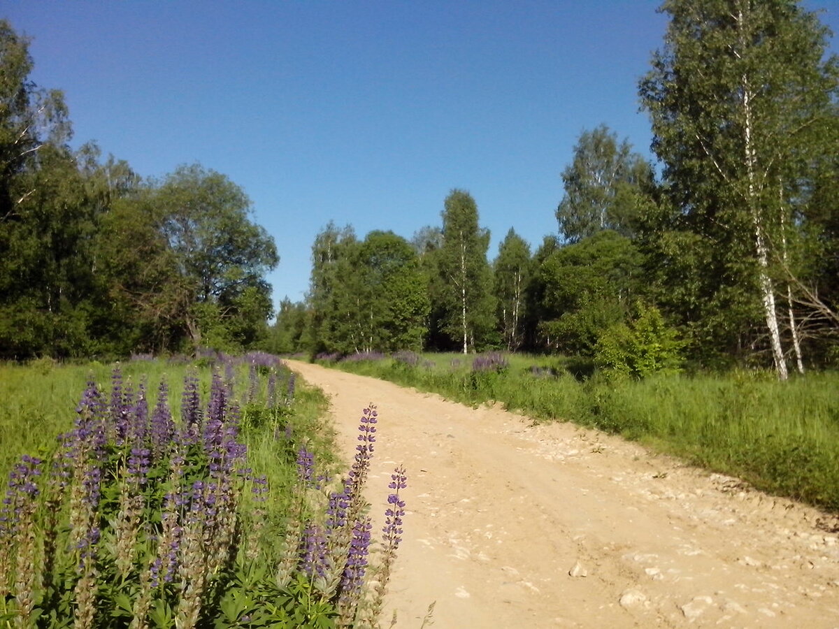 Старая Калужская дорога от Филиповки до Недельного