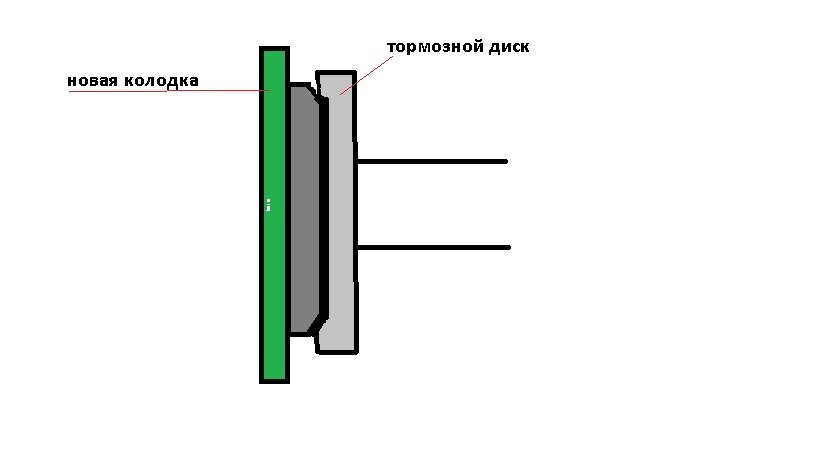 Пестики-тычинки.