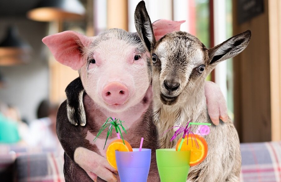 Жертвоприношение