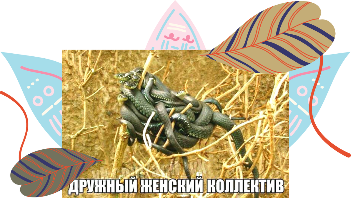 Обсуждать 