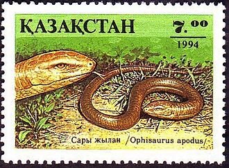 В Казахстане так много желтопузиков, что решили даже с ними почтовую марку сделать!