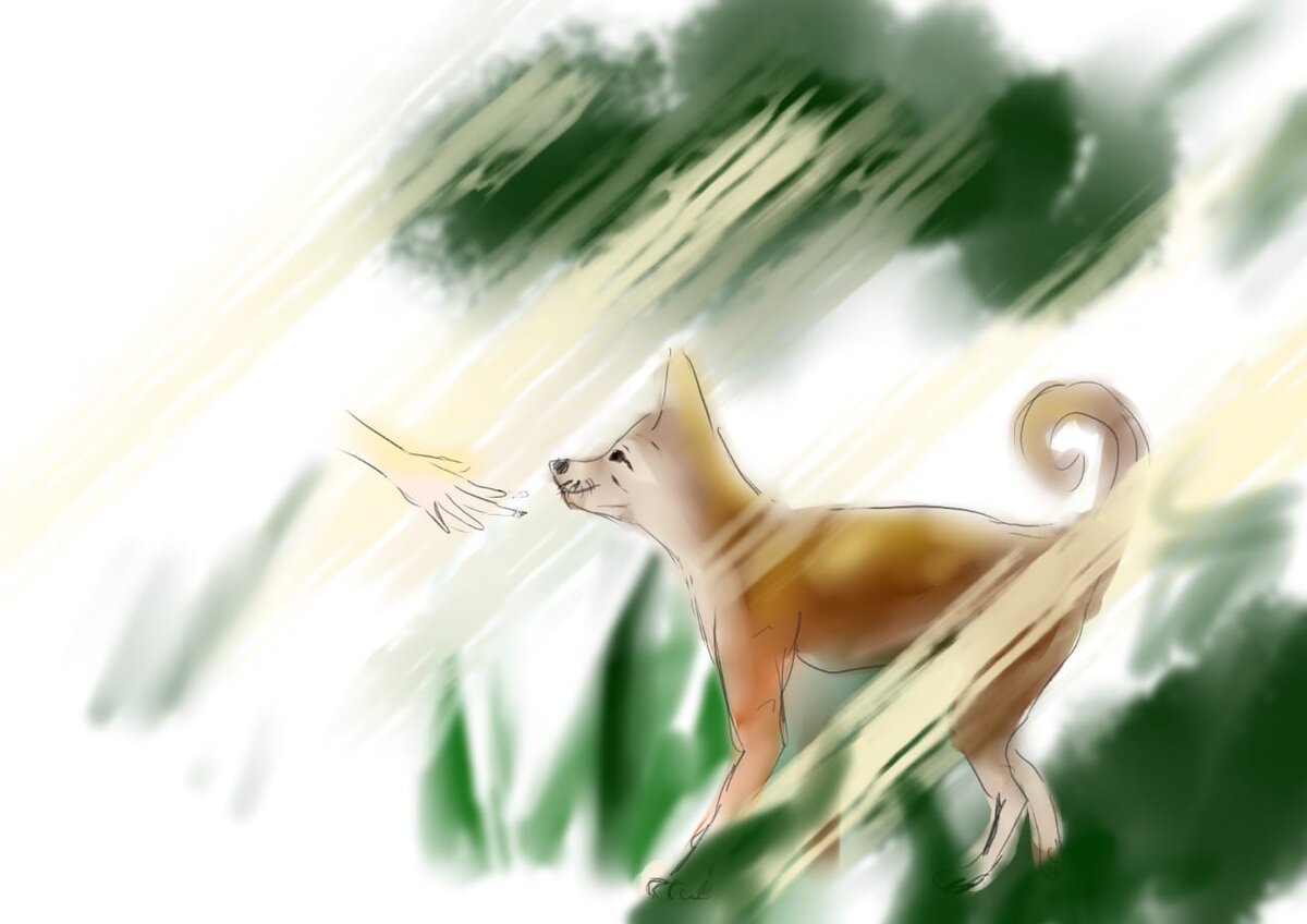 рисунок Д. Смагина