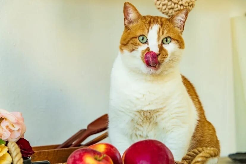 Ваш гид по вкусным местам 