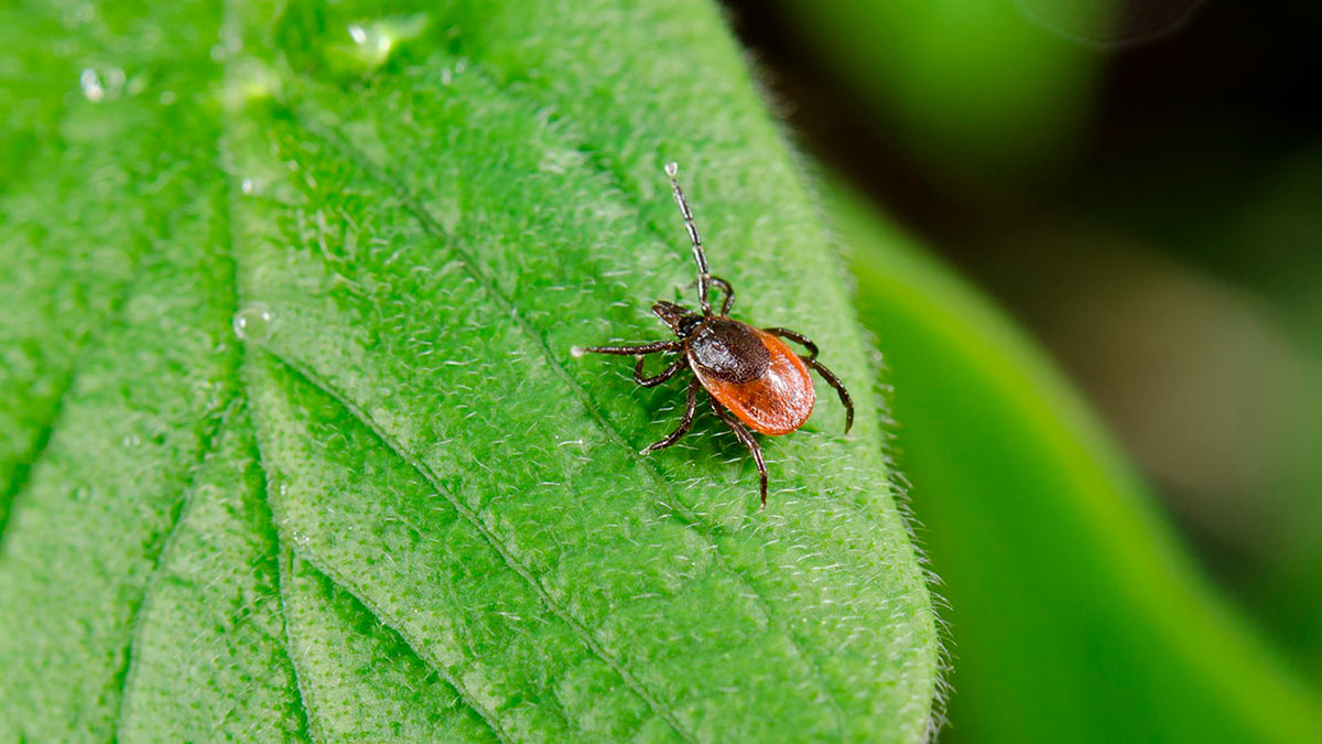 Источник картинки - profile.ru