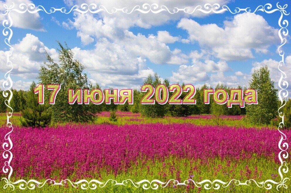 Какой сегодня праздник 17 апреля 2024. 17 Июня праздник. Праздники дня 17 июня. Всемирный день крокодила 17 июня. 17 Июня картинки.