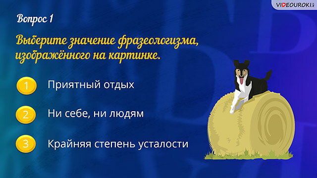Крайняя степень усталости. Засыпать вопросами синоним. Засыпать вопросами синоним. Засыпать вопросами синоним. Взъерошенный как пишется.