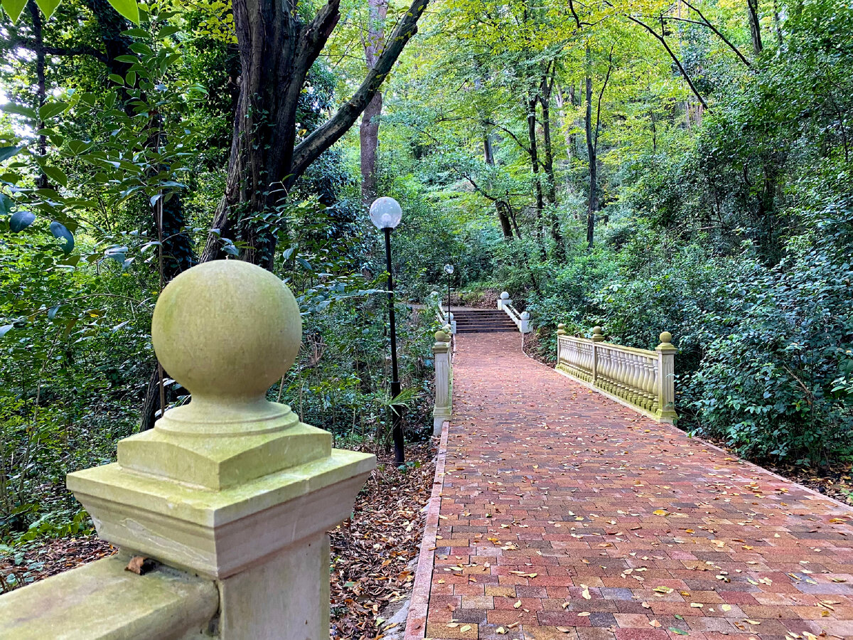 Терренкур «Тропа здоровья» вдоль моря - пешком из Мацесты в Сочи и наши ...