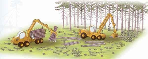 Финляндии придётся рубить свой лес или одна из сказок о западном величии