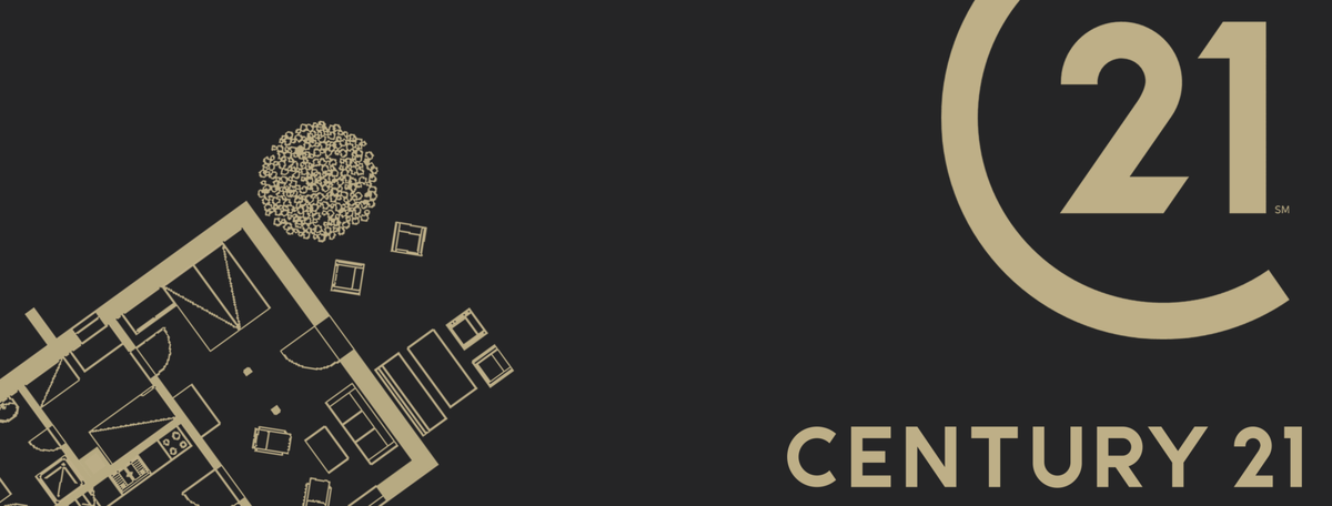 Картинка 21 век. Century 21 картинки. Century 21 фон. 21 Век Century. Century 21 новый логотип.