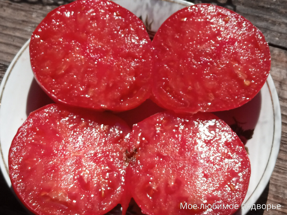 Гигантская хижина, Скорпион, Гребешок розовый - сорта томатов, которые радуют исключительно крупными плодами