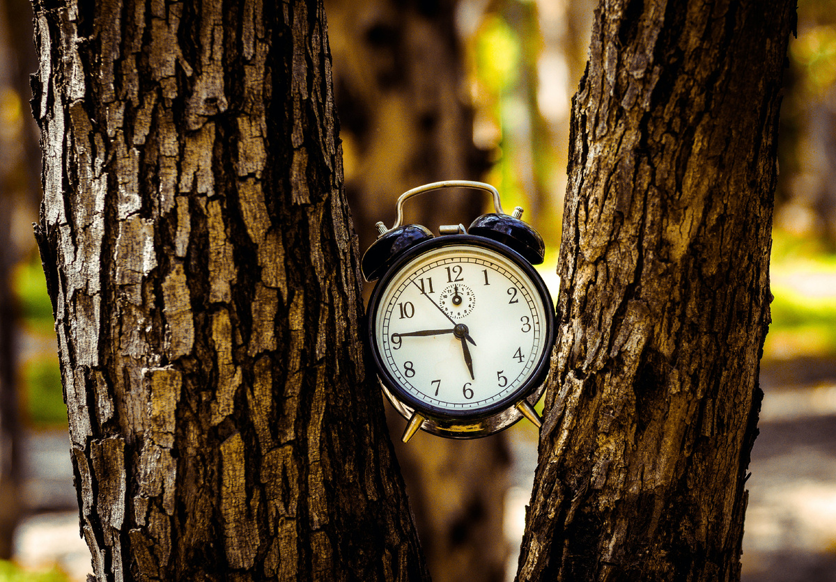 Photo by Yaniv Knobel on Unsplash