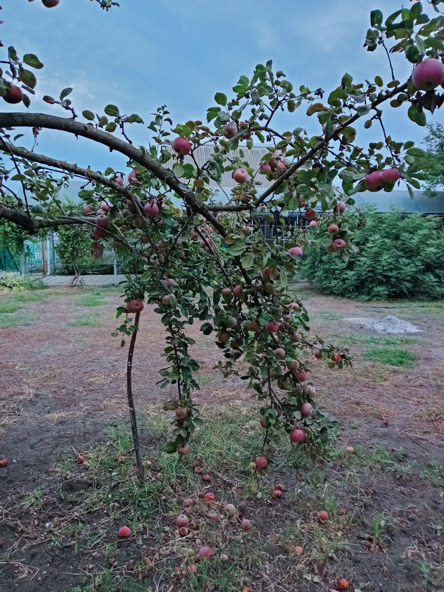 Фото автора.