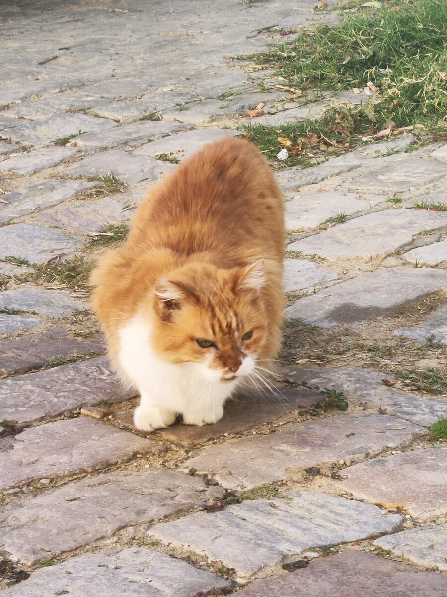 Фото сделано в Сиди бу Саид))