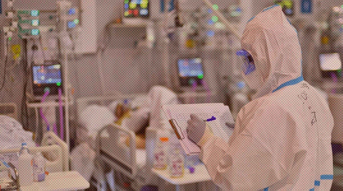    Фото: Global Look Press / Комсомольская правда