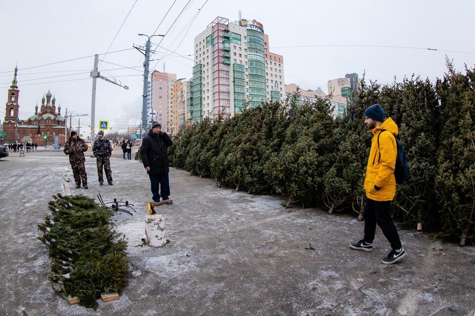     Потенциально опасные деревья уже заполонили Челябинск – едва ли не на каждом перекрестке традиционные елочные базары. Фото: архив КП