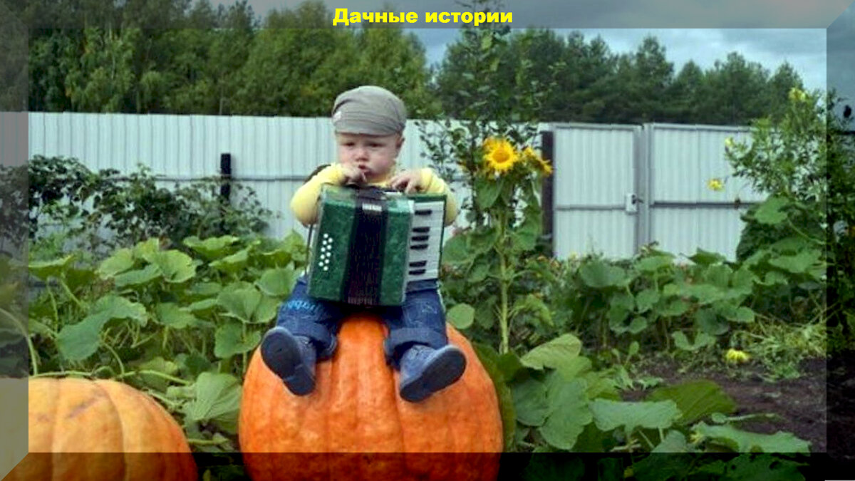 https://vk.com/photo-159774511_457258355