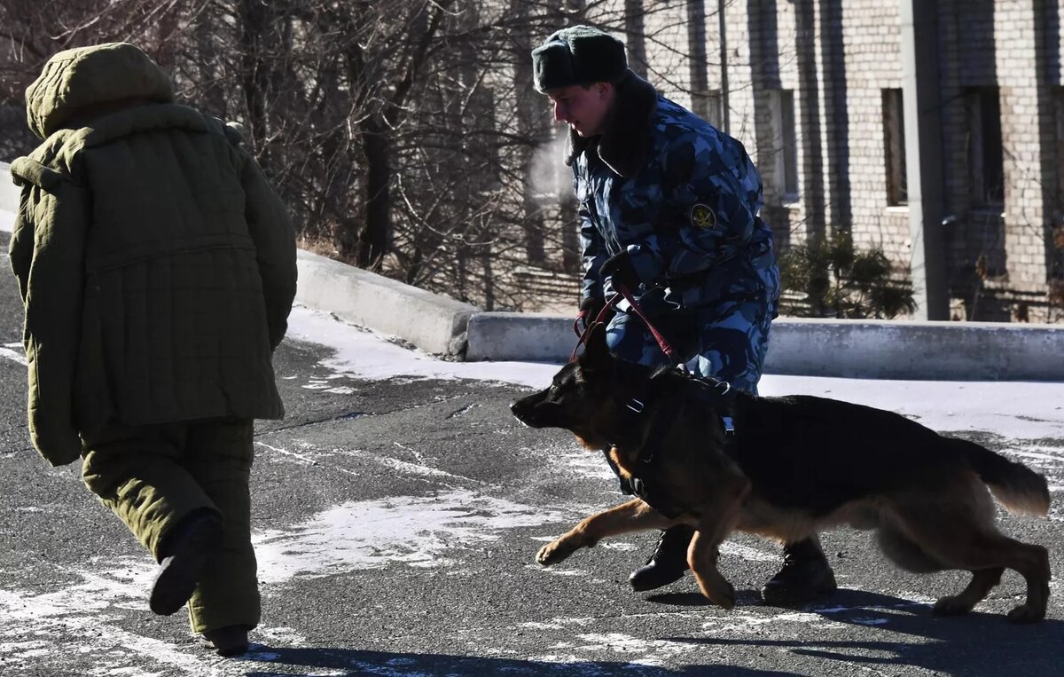 © Sputnik / Виталий Аньков 