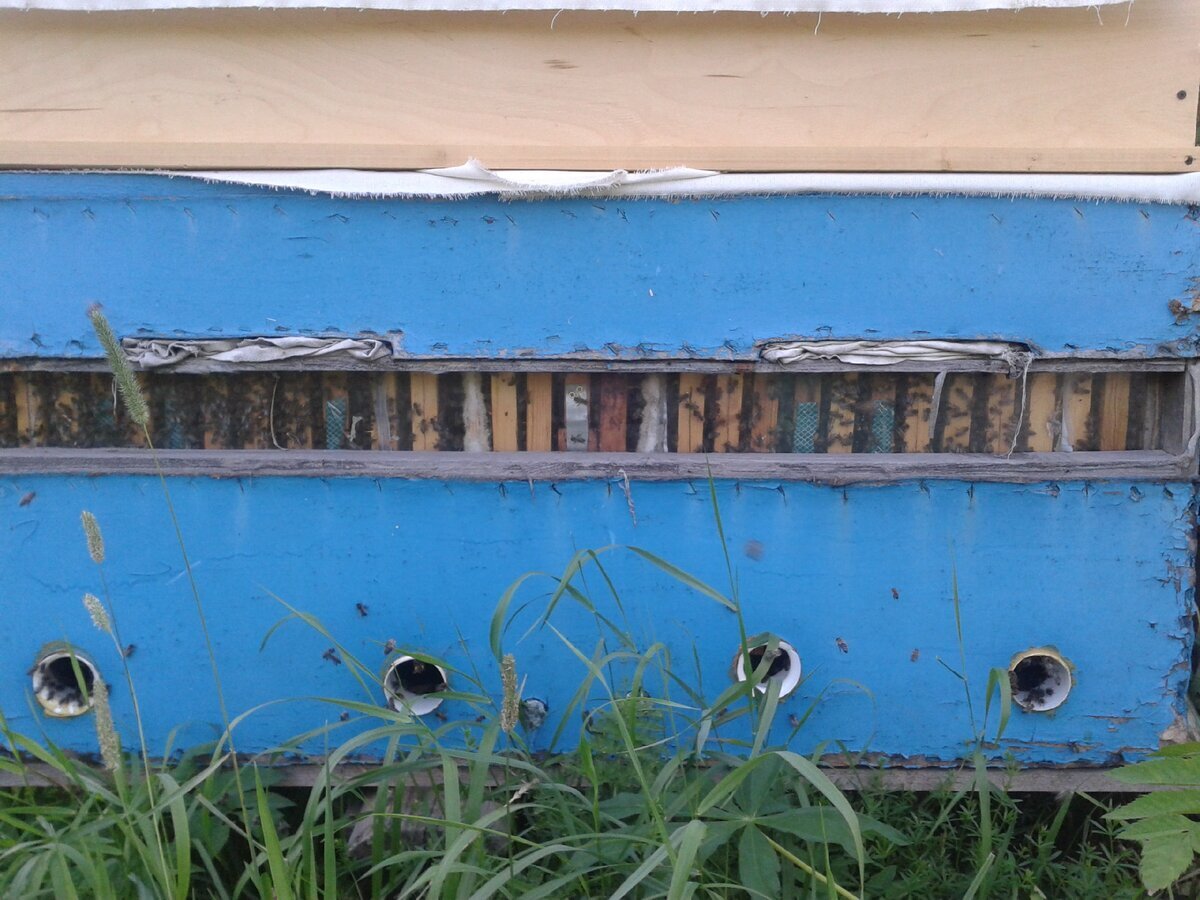 Мой первый экспериментальный улей сделан в 2007 году. Доработан круглыми летками 2011 год.