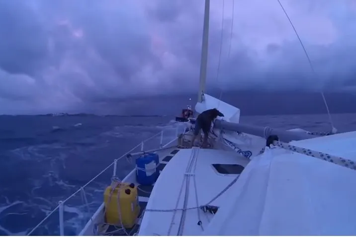     Моряки наткнулись на «корабль-призрак» в Бермудском треугольнике