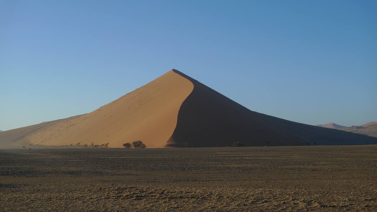 Фото: Яндекс Картинки