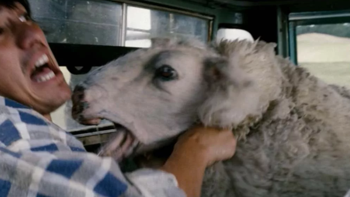 Паршивая овца оборотень. Паршивый это. Паршивая овца ужастик 2005. Паршивая овца / black sheep (2006). Паршивый это.