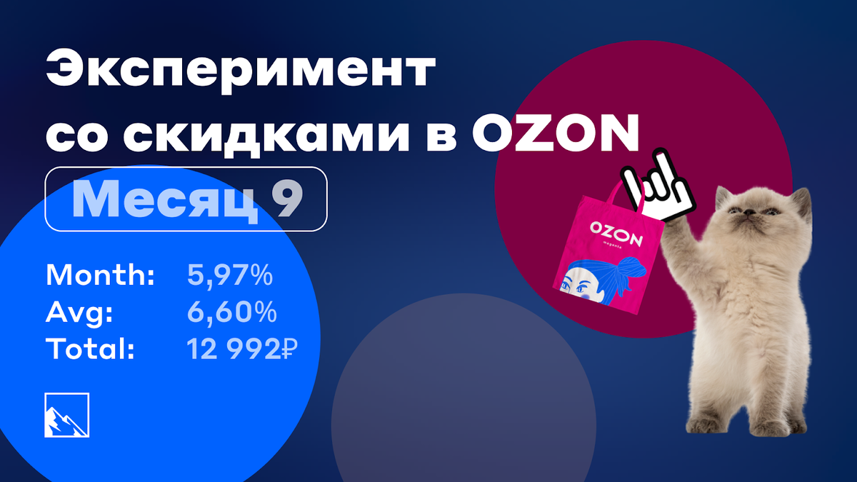 Эксперимент со скидками в Озоне. Месяц девятый