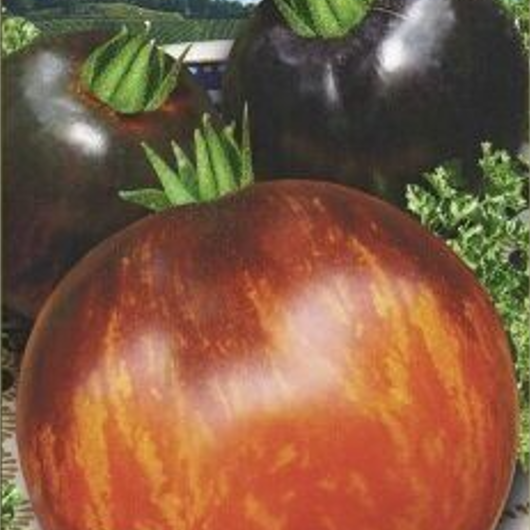 Томат Гаргамель. Коллаж автора.