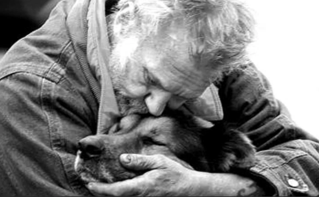 Фото Яндекс картинки.
