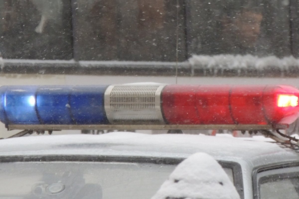    Два человека погибли в ДТП с микроавтобусом под Пензой