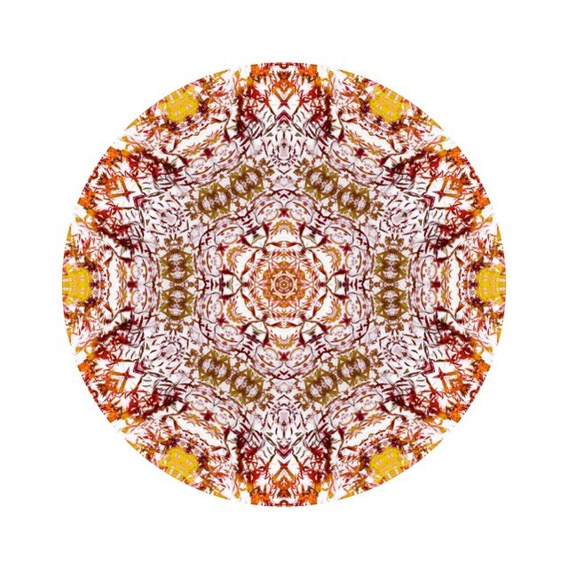 Мандала «Крылья жар-птицы» (цикл Солнечные мандалы) Автор: Ярра-искатель, художник - шаман #yarraexplorer ©YarRa