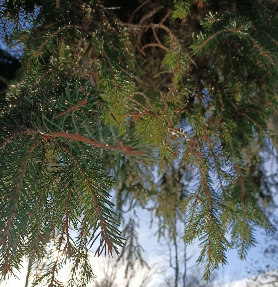 Что нам готовит неделя 16- 22 января