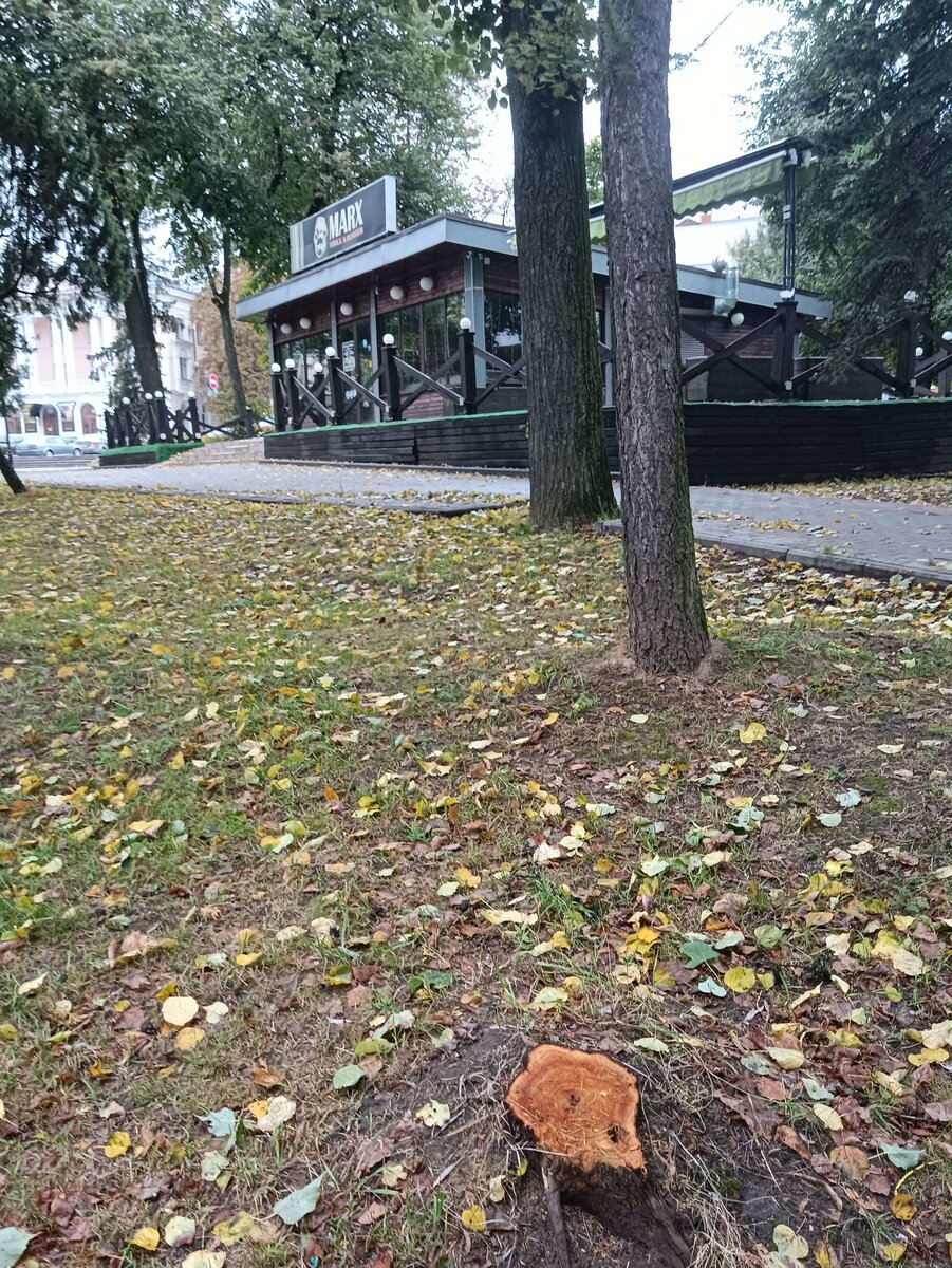    В Круглом сквере Брянска пролетарская бургерная Marx уступила место вьетнамскому кафе Бань Бао avchernov