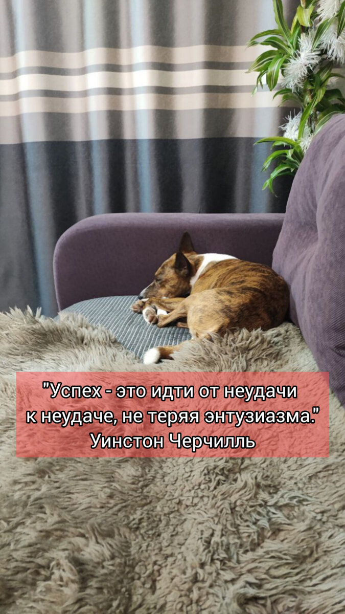 Зорик