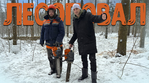 Чуть не убило! Все по настоящему! Валим лес бензопилами ZimAni с лесорубами!