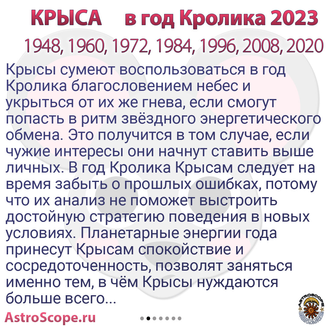 Год Кролика 2023 для Крысы