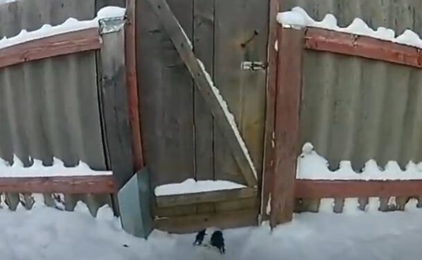 зимой в деревне