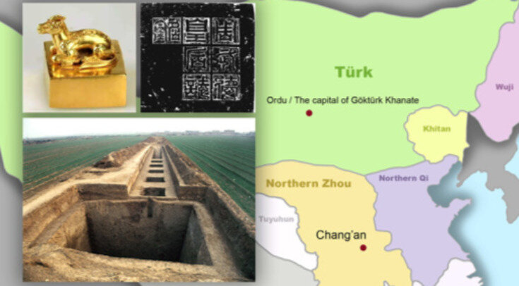   Xiao-Min Yang et al. / Journal of Systematics and Evolutions, 2023