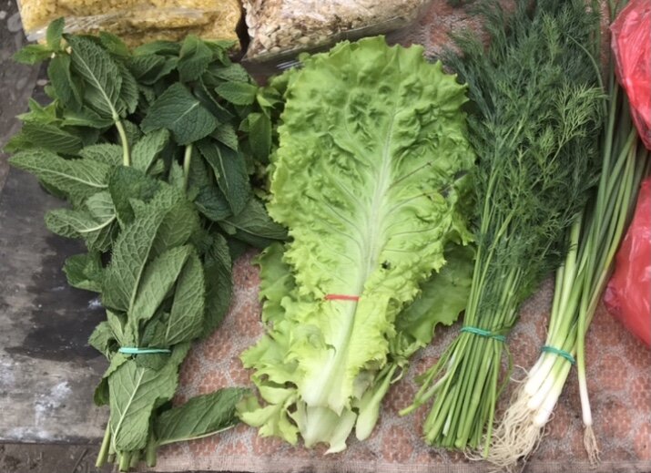 Зелень. Август 2022г.