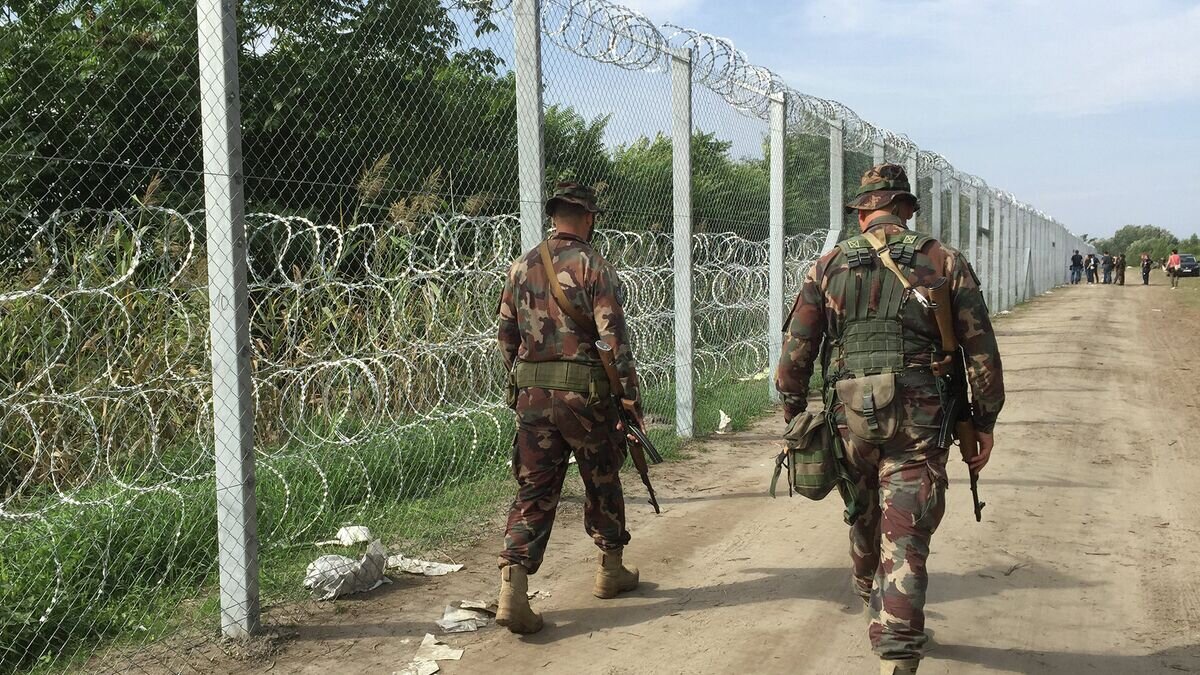    Венгерские военные патрулируют границу в районе поселка Реске, Венгрия© РИА Новости / Дмитрий Виноградов