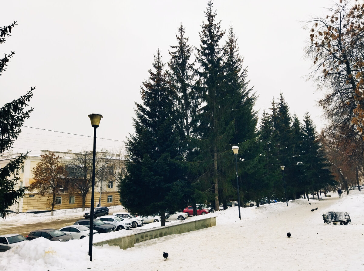 На обратном пути