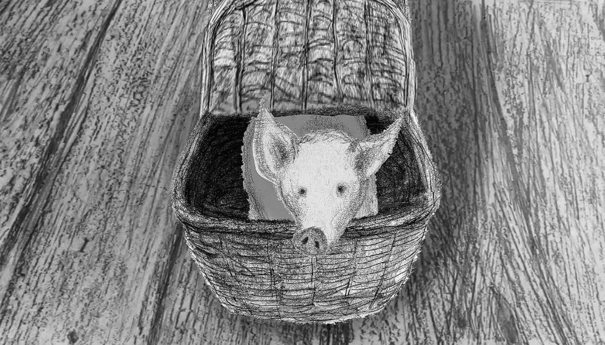 Скриншот из мультфильма "Хаврюша"