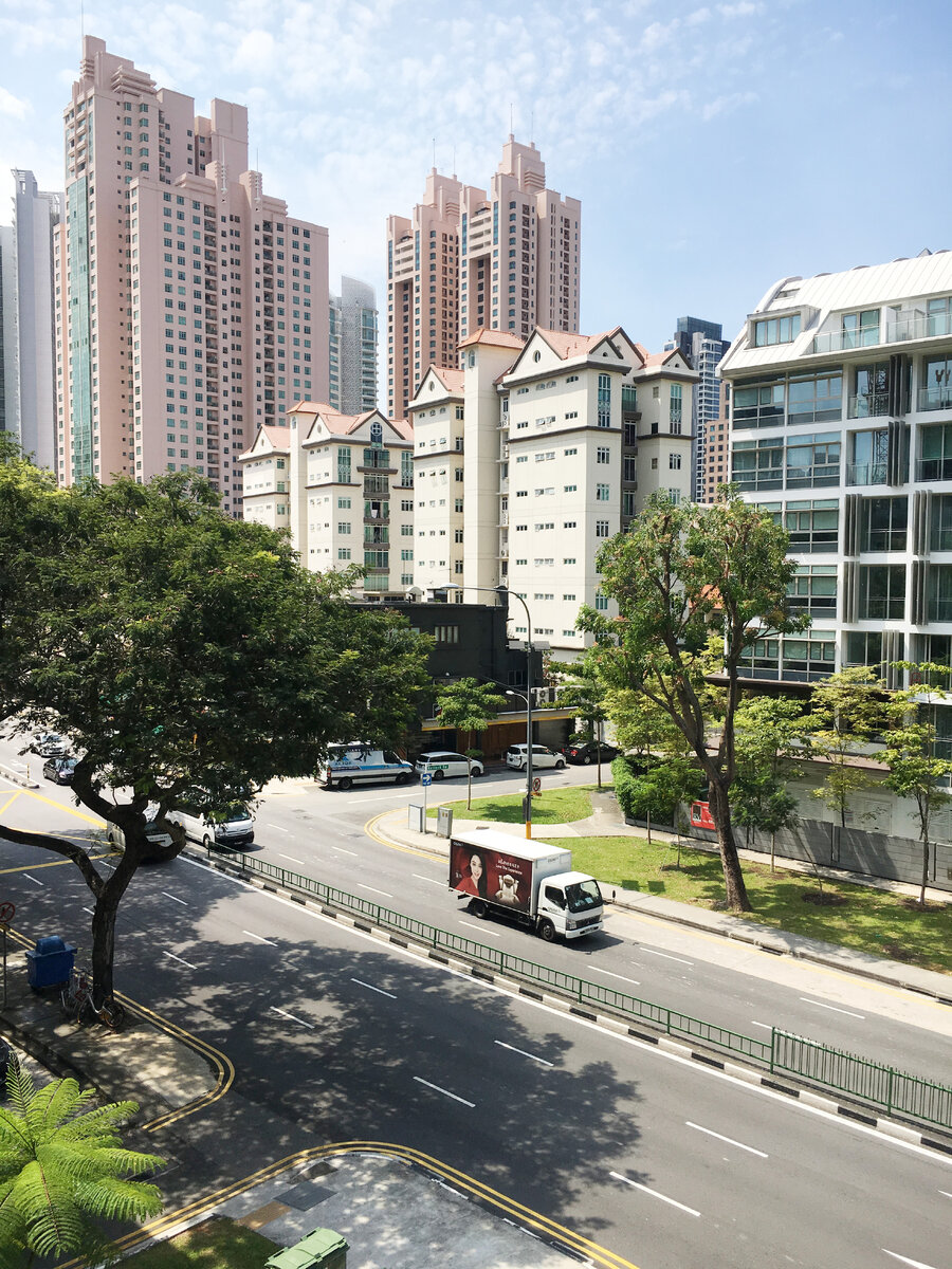 Вид из моего окна на одну из крупных улиц микрорайона — очень типичный для Сингапура.